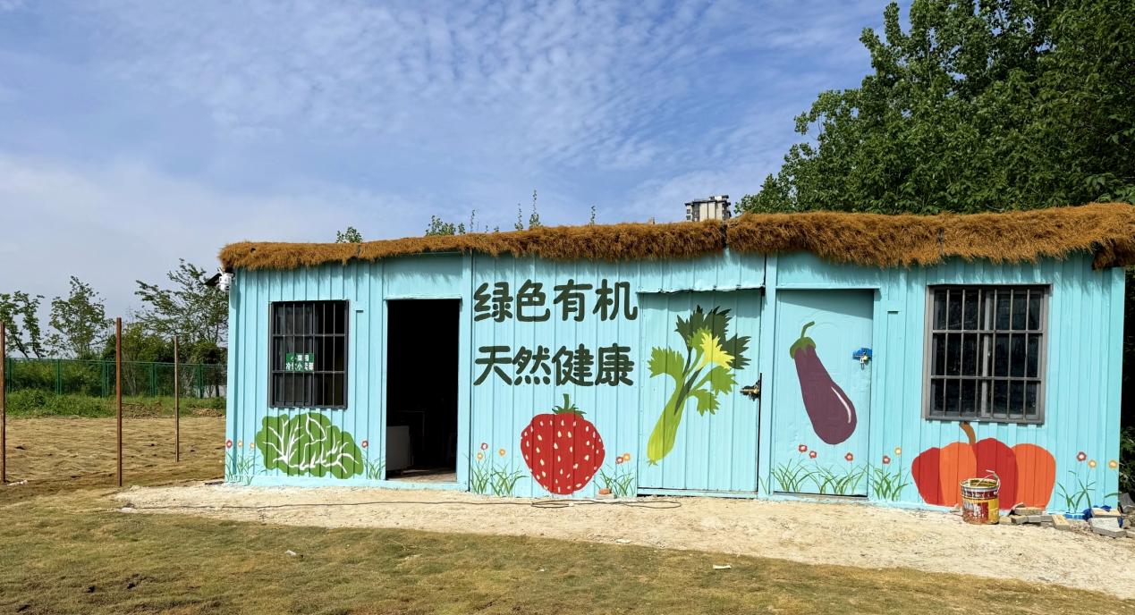 合肥瑤海：荒地變共享菜園 精細治理暖民生