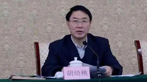 受賄數額特別巨大 江西省政協原黨組成員、副主席胡幼桃被提起公訴