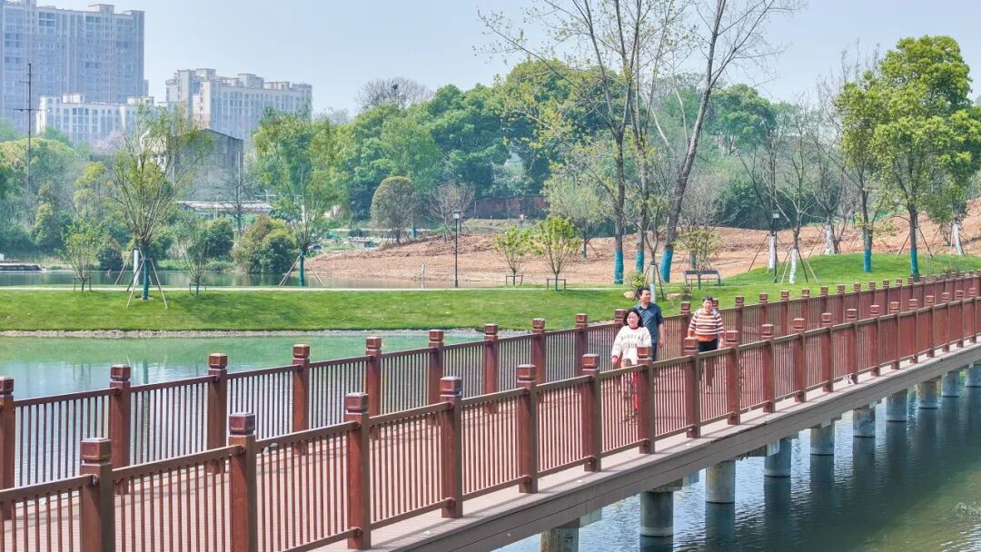 荒廢岸線變身詩意濱水廊道 鄂州洋瀾湖東南岸蝶變市民休閒新地標
