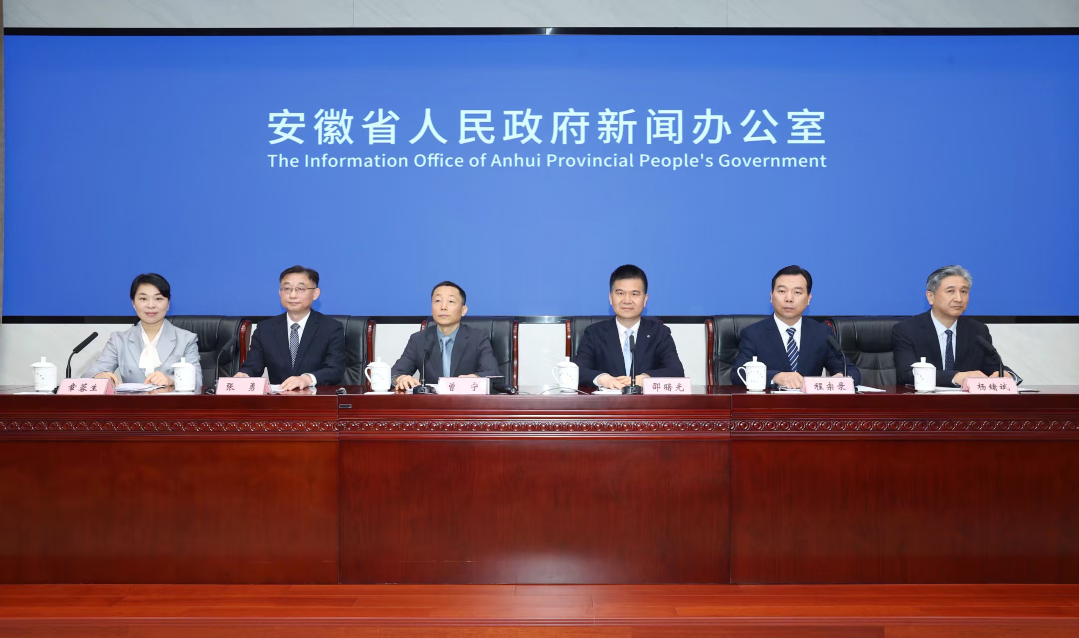 暖心護航 安徽殘疾人事業交出亮眼答卷
