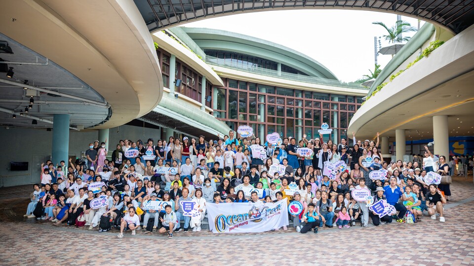 非一般母親節體驗！海園水上樂園邀請千人率先暢玩世界級設施