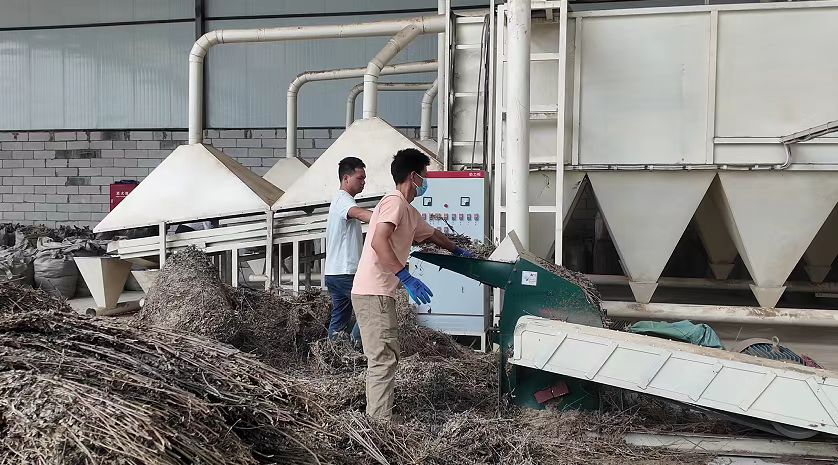 艾香漫硯山  就業暖民心