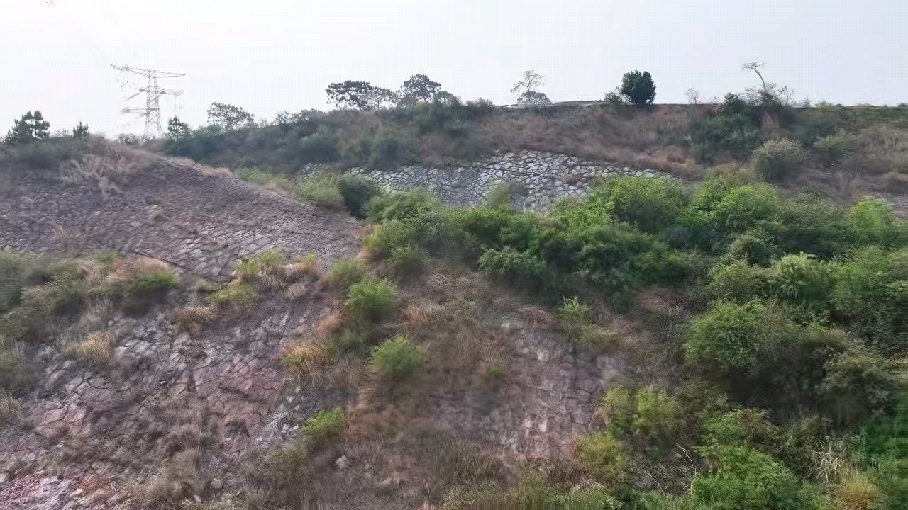 雲南硯山發現壯觀龜背岩：熔岩冷凝成「龍鱗」，形態惟妙惟肖