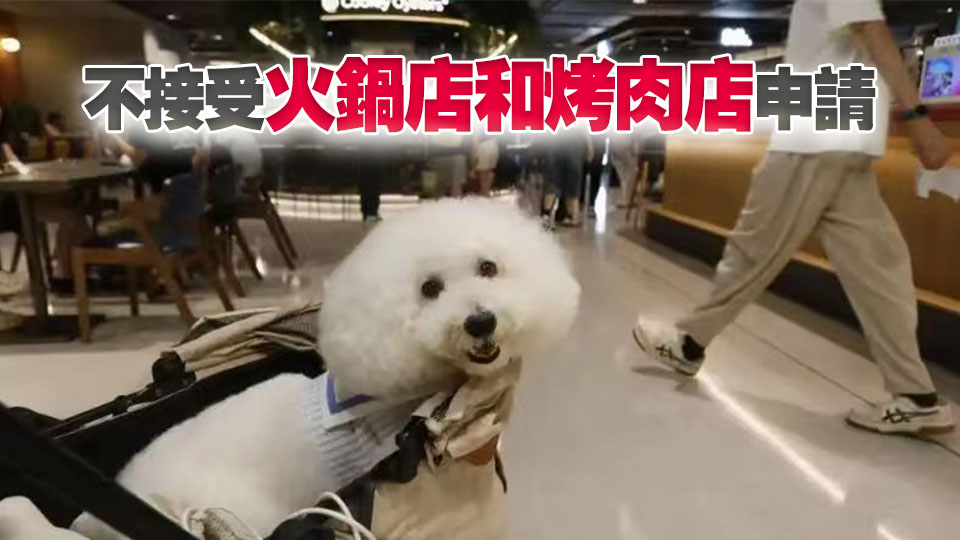 容許犬隻進入獲准食肆18日起接受申請 預計7月展開