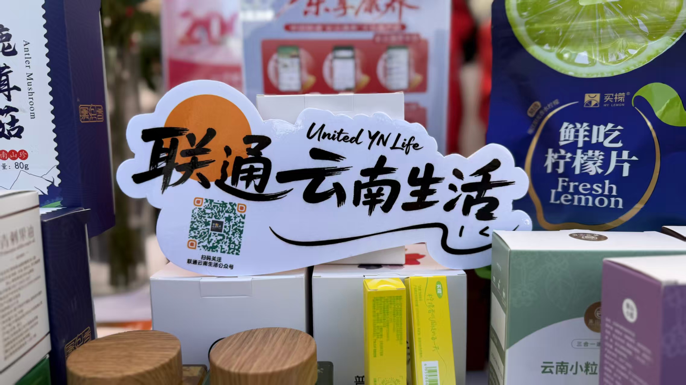 2026年「5·19中國旅遊日」雲南省分會場活動在麗江啟幕 「旅居雲南」平台體驗版同步上線