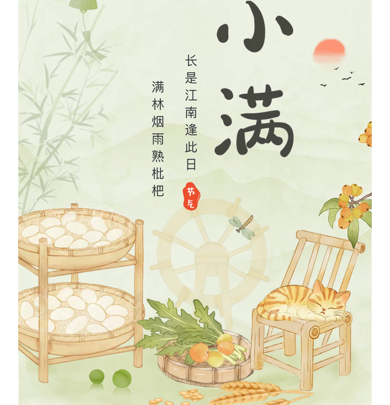 有片丨小滿好時節，中醫教你學養生