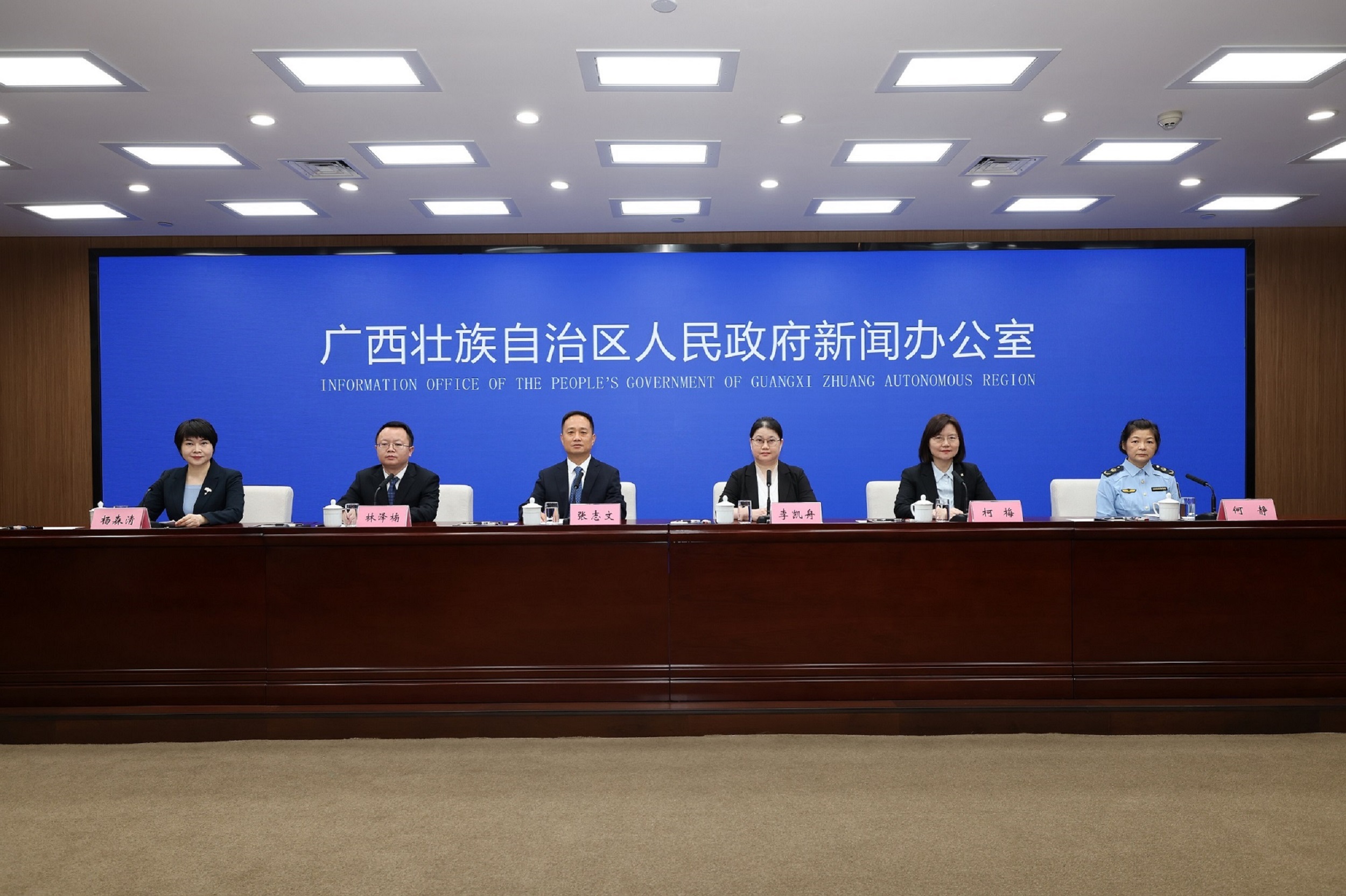 廣西落實民營經濟促進法 推動民營經濟發展壯大
