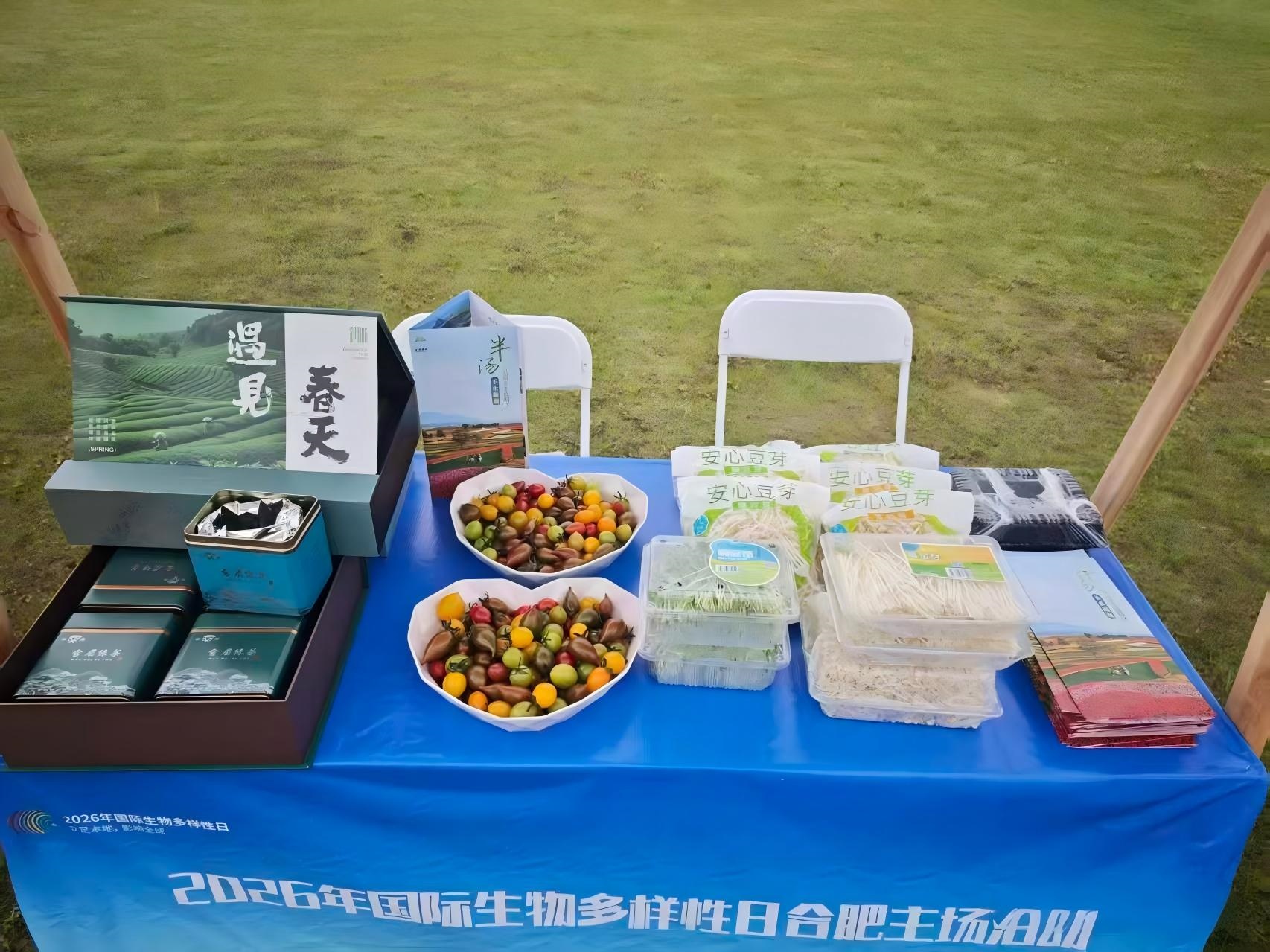 合肥廬江生態集市啟幕 安巢特色產品驚艷亮相