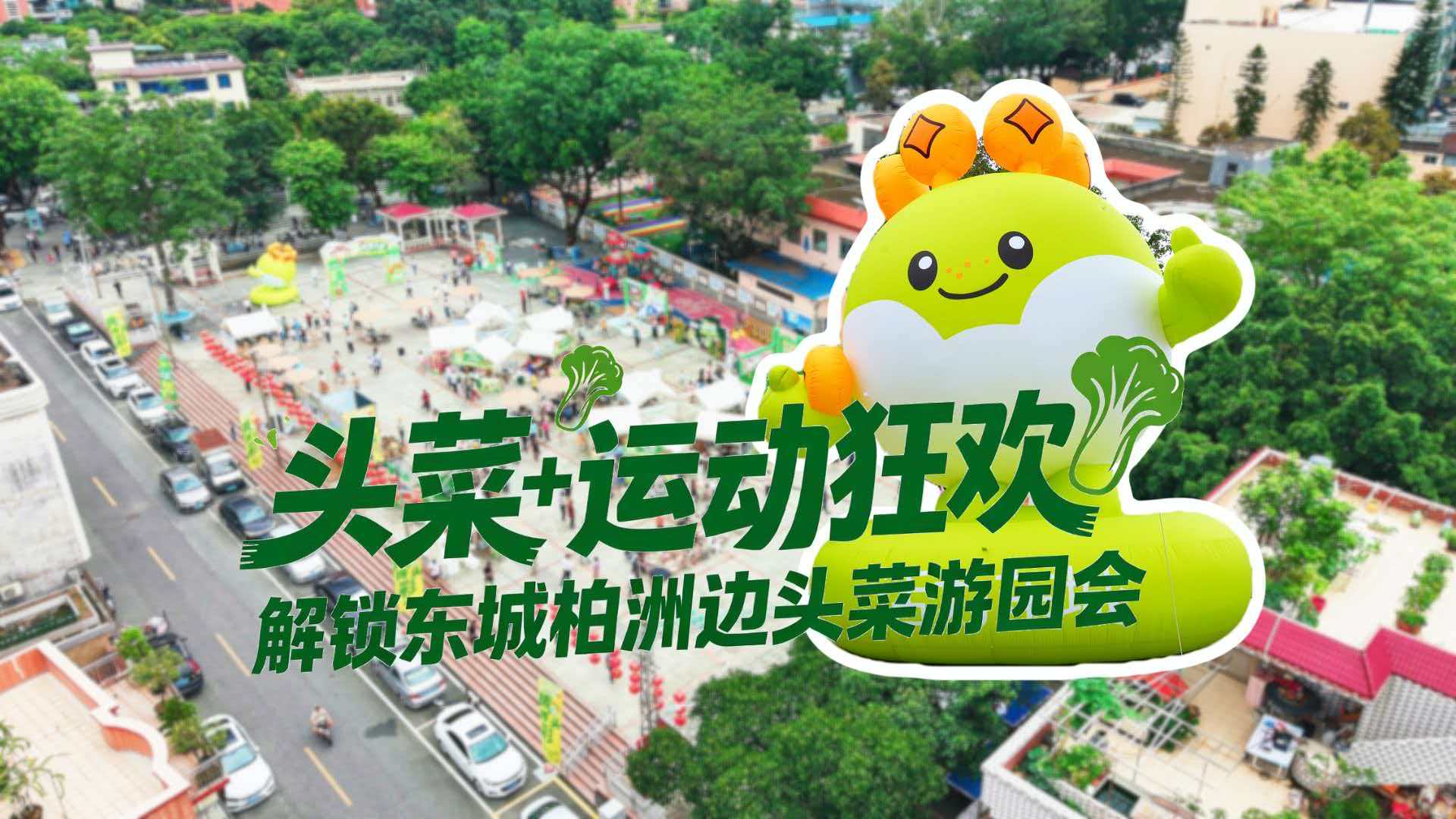  這顆大頭菜憑啥出口香港   快來東莞這個遊園會解密
