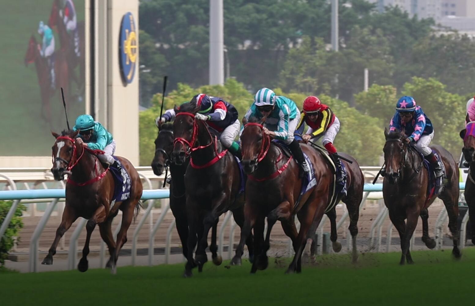 有片丨遮打盃力克數字天文  浪漫勇士榮膺三冠王