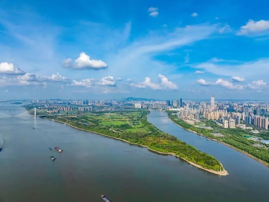 從香江到長江：探訪中新南京生態科技島，一座為您定製的國際化商務樞紐