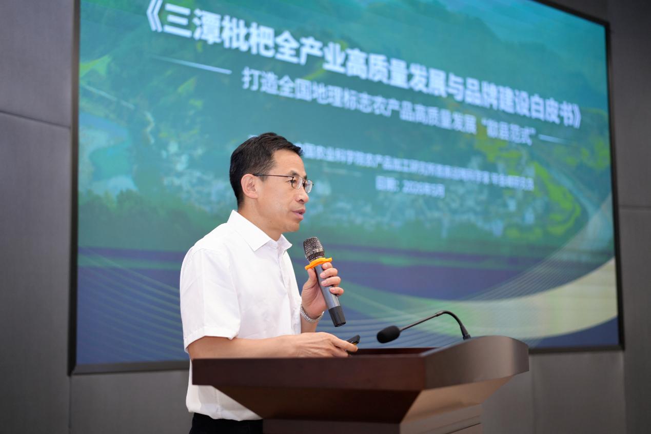 向現代化全產業鏈轉型 皖歙縣發布《三潭枇杷白皮書》
