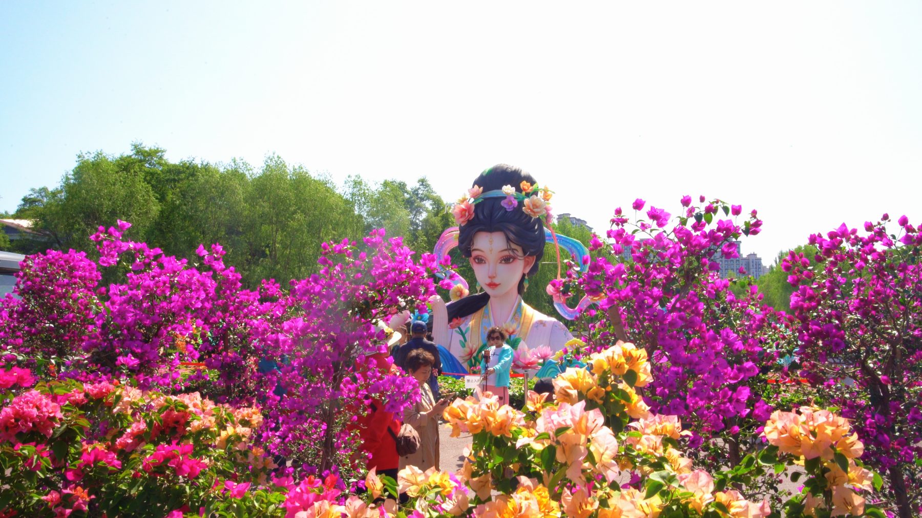 哈市香坊區第二屆百花展月末啟幕 繁花與工業風碰撞出浪漫火花