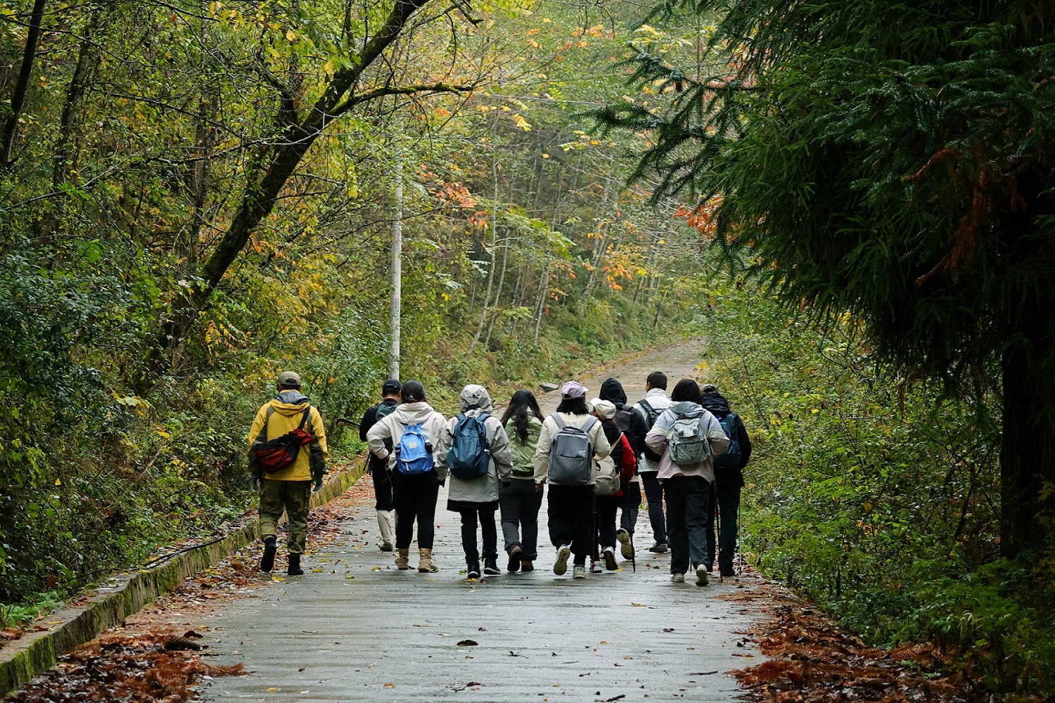 四川平武老河溝創新生態導賞員培育制度 蹚出鄉村振興養山富民路