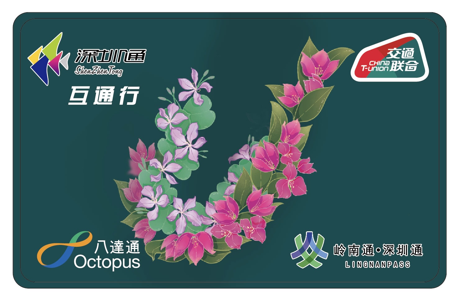 一卡一碼暢聯深港     助力大灣區同城化生活