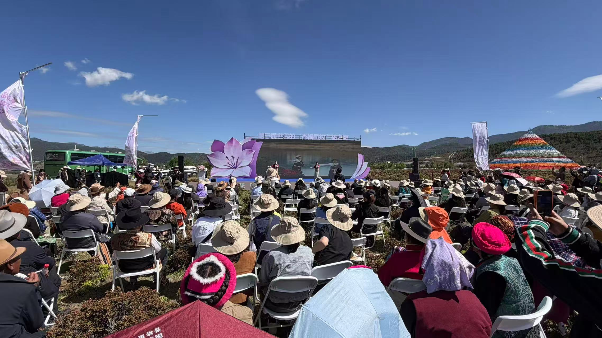 花開迪慶！第三屆「世界的香格里拉」花之旅啟幕，小中甸杜鵑盛放邀世界共赴高原之約