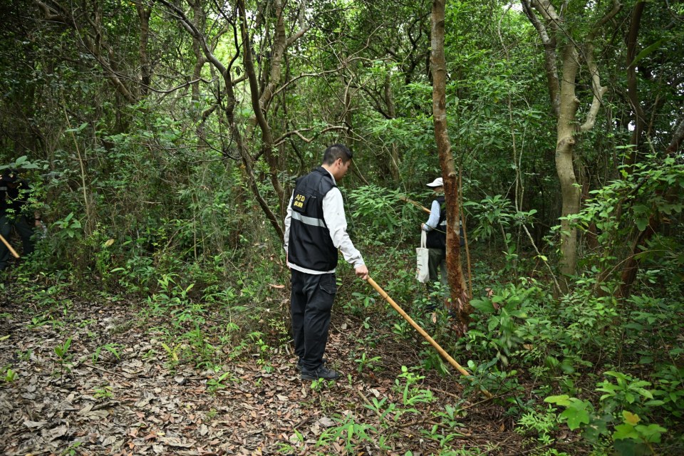 漁護署澄清流浪狗非捕獲4天即人道毀滅 與夥伴機構合力助960隻流浪狗獲領養