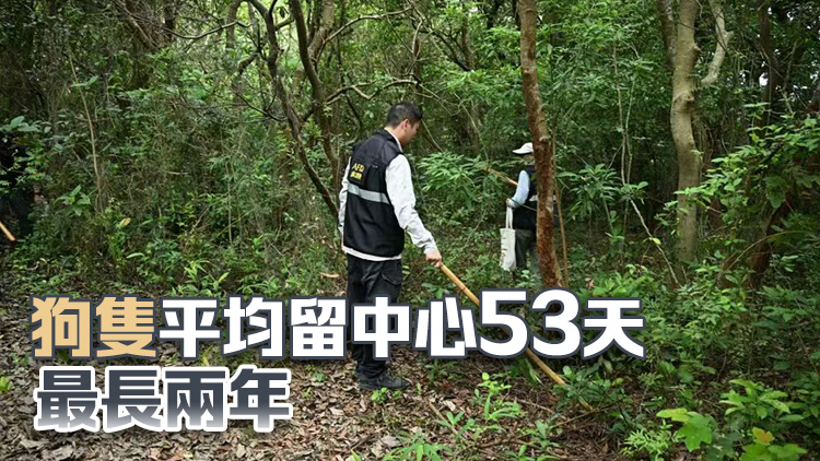 漁護署澄清流浪狗非捕獲4天即人道毀滅 與夥伴機構合力助960隻流浪狗獲領養