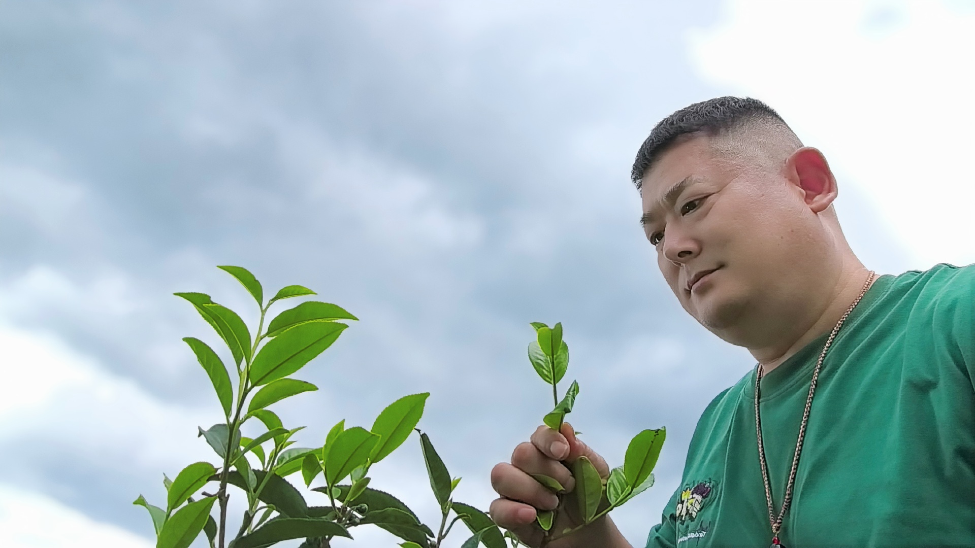 溯源茶山沉浮弊病，探尋生態共富新路 ——呂劍借國際茶日復盤2026雲南春茶：收官回望與長遠建言