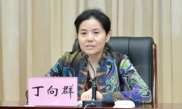 丁向群任國家金融監管總局黨委書記