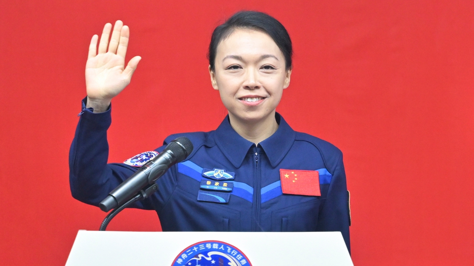 【計出新角度】在烏鴉的世界裡，天鵝就是罪