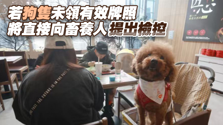 漁護署：即日起定期進行狗隻牌照抽查及執法
