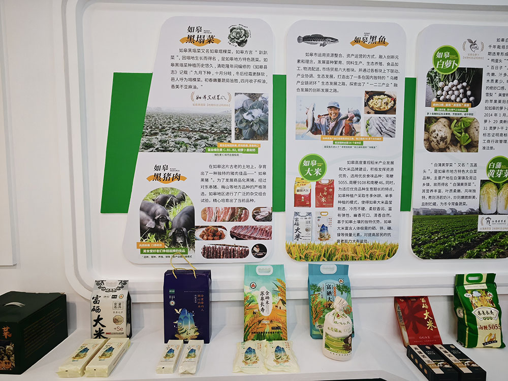 江蘇如皋：672位百歲老人見證長壽強市蛻變