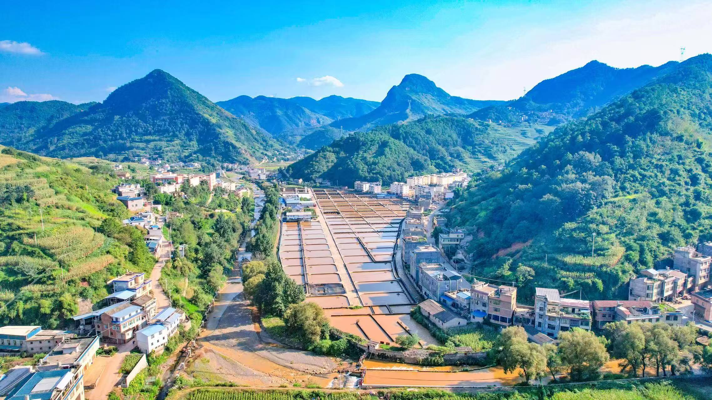 滇東北崛起「黑珍珠」產業：會澤擦亮「錢王之鄉」新名片