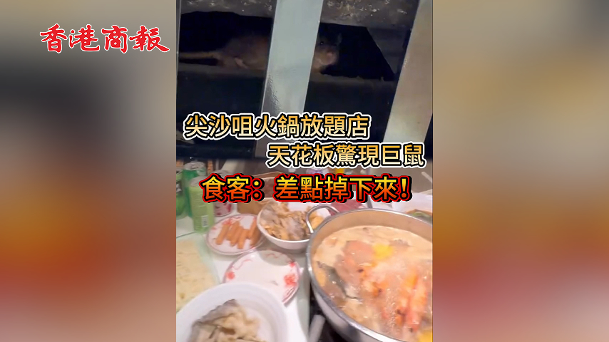 有片丨尖沙咀火鍋放題店 天花板驚現巨鼠 食客：差點掉下來！