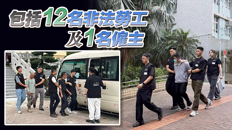 入境處全港打擊從事裝修工作黑工 拘捕13人