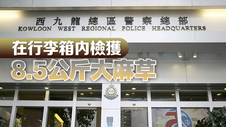 警方聯同海關機場檢值130萬元大麻草 拘捕內地男 