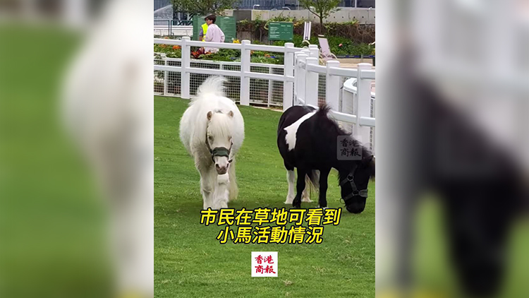 有片｜賽馬會「小馬大本營」6·22正式開放 帶來全新馬術體驗
