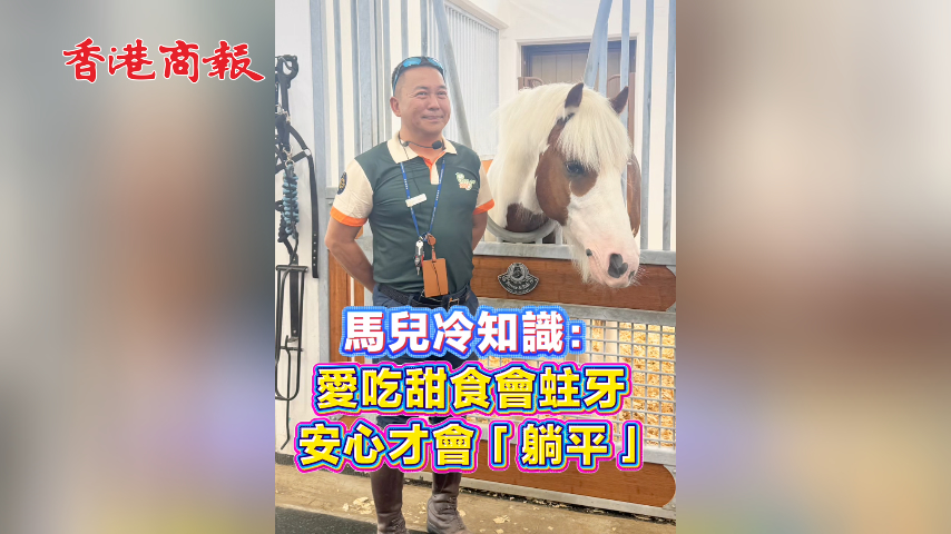 有片丨馬兒冷知識：愛吃甜食會蛀牙 安心才會「躺平」