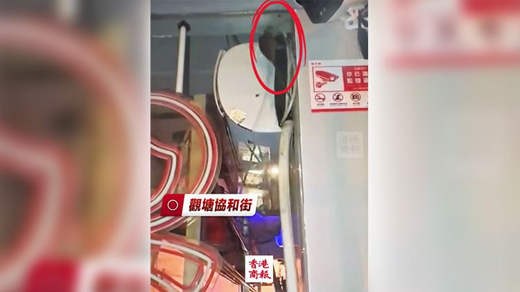有片｜觀塘連鎖超市現群鼠啃食豬肉 食環署：已檢控相關人士