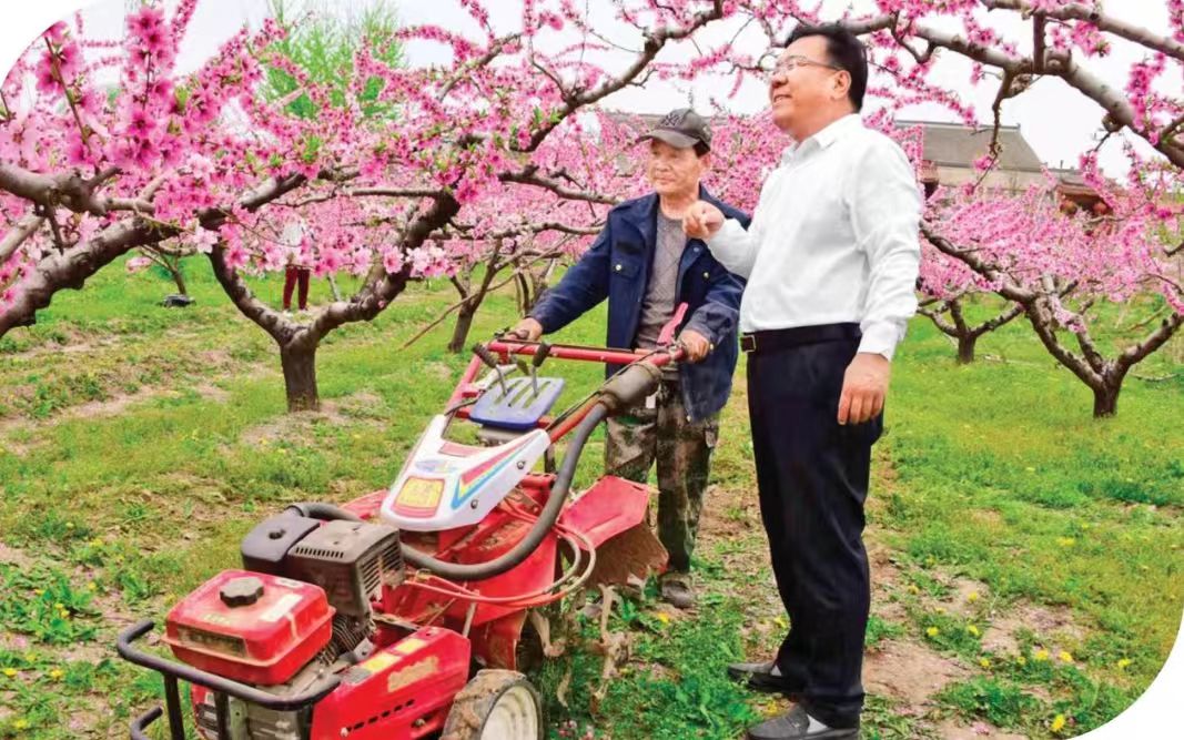 山西臨猗：一位「兵支書」的鄉村振興答卷