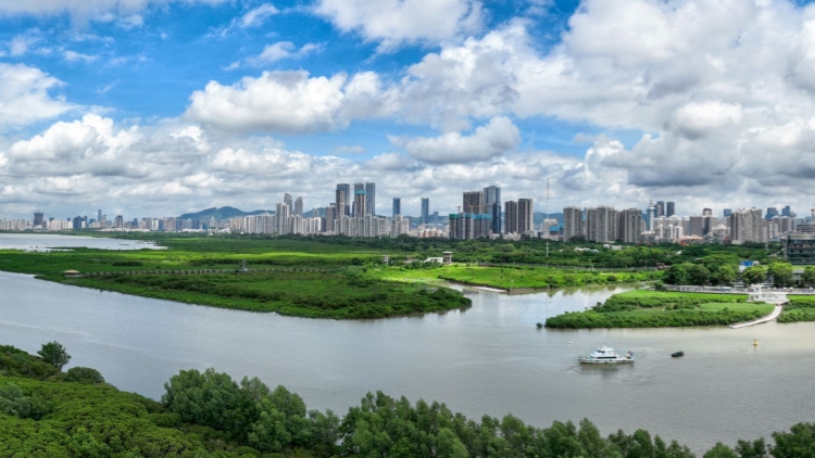 深圳哪個區生態氣候最舒適？2025年深圳生態氣候舒適度報告出爐