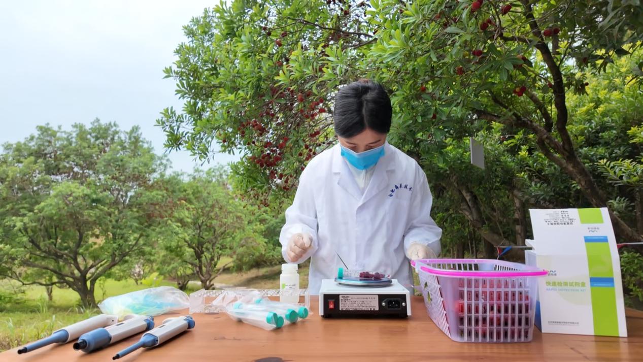 緊盯時令果蔬上市關鍵節點  皖屯溪築牢舌尖安全防線