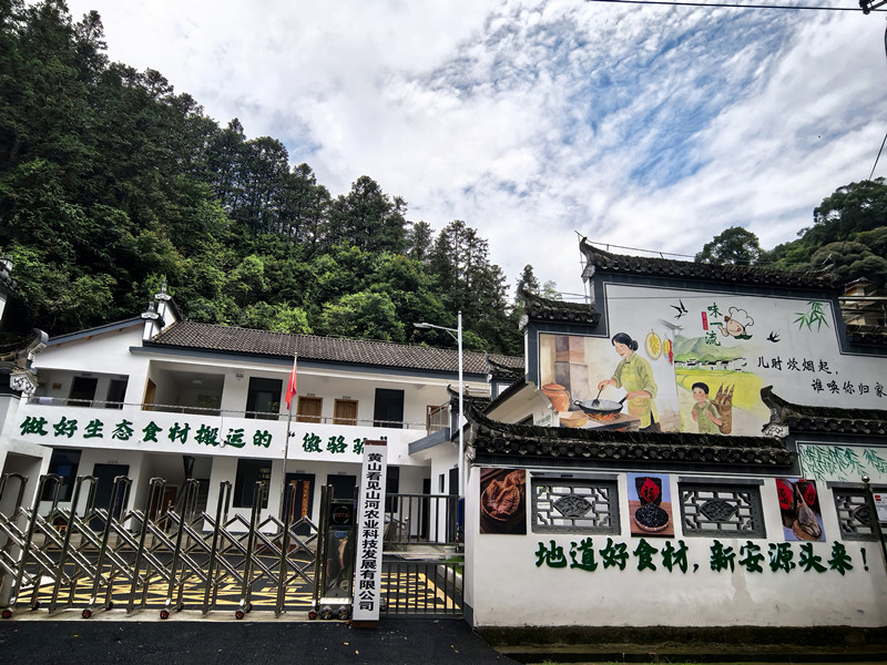 皖休寧流口鎮：黨建引領賦能鄉村產業提質增效