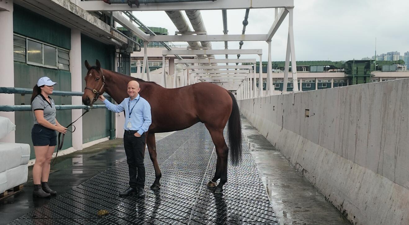 Lot9成本價427萬最高  拍賣馬試跑示範本月20日進行