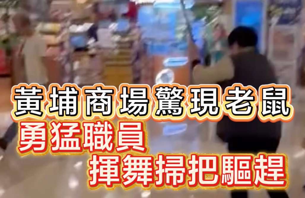 有片｜黃埔商場驚現老鼠 勇猛職員揮舞掃把驅趕