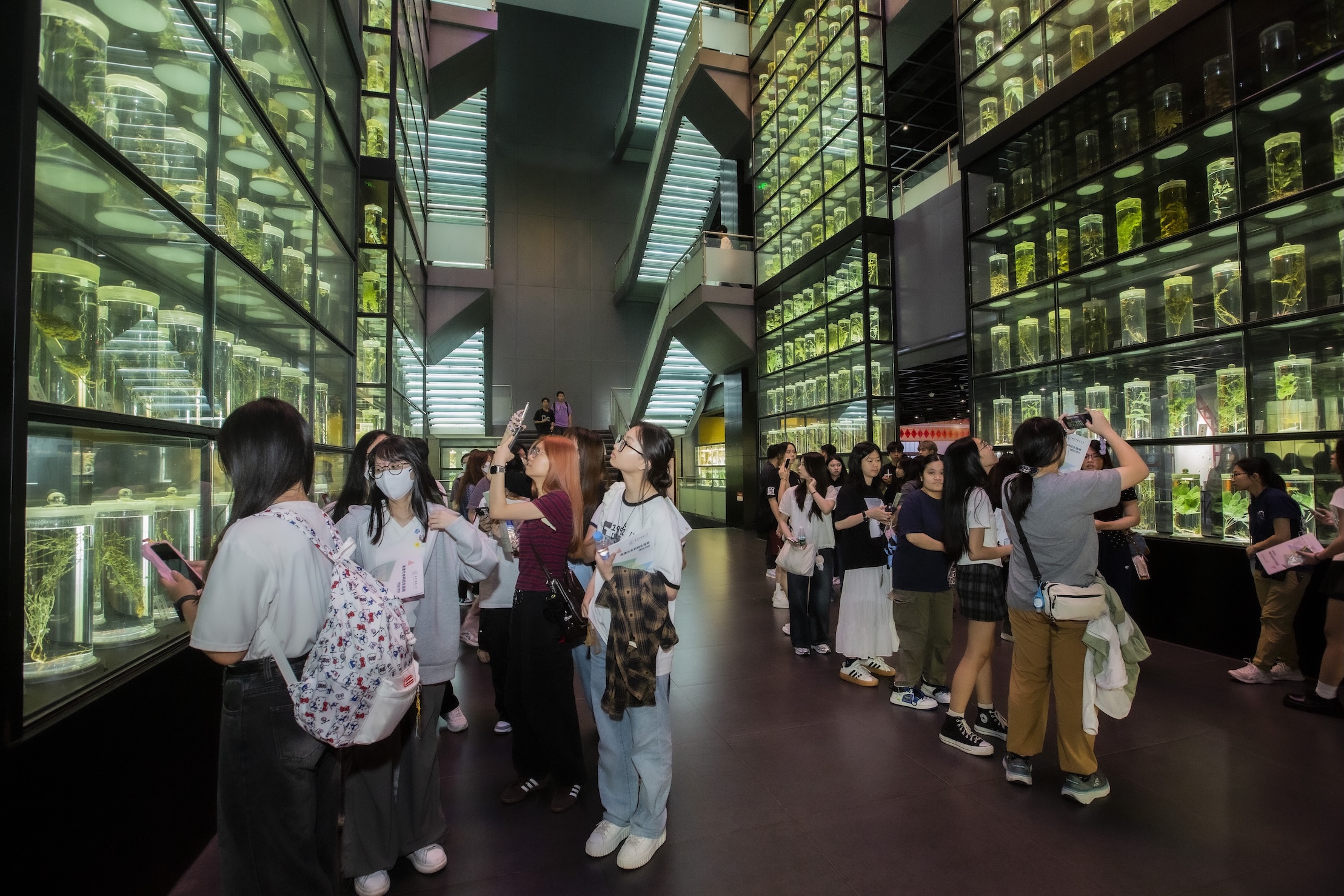 穗港中醫藥文化交流與人才共育  百餘名香港師生走進廣州中醫藥大學