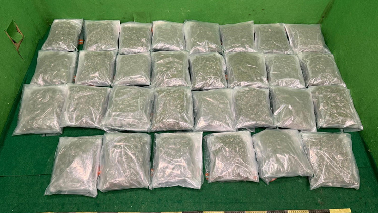 海關機場檢獲約270萬元懷疑大麻花 一名本地女子被捕