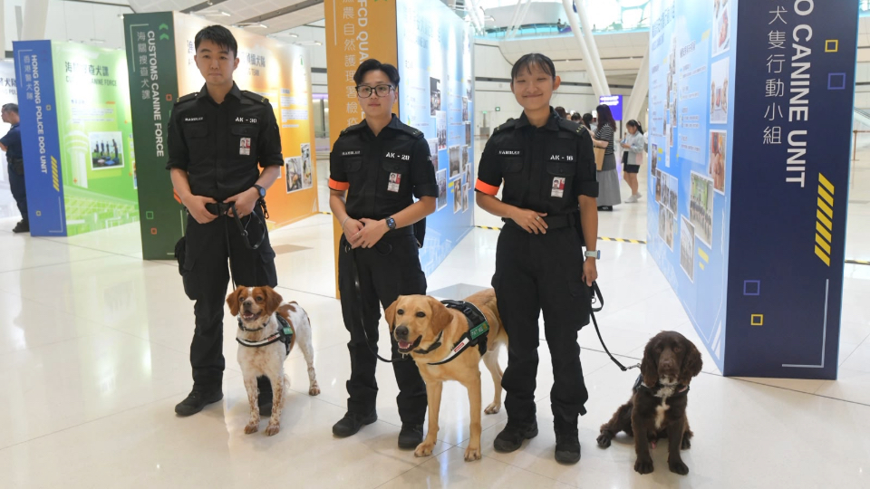 有片 | 機場保安犬隻行動小組成立五周年 5年提升至20只