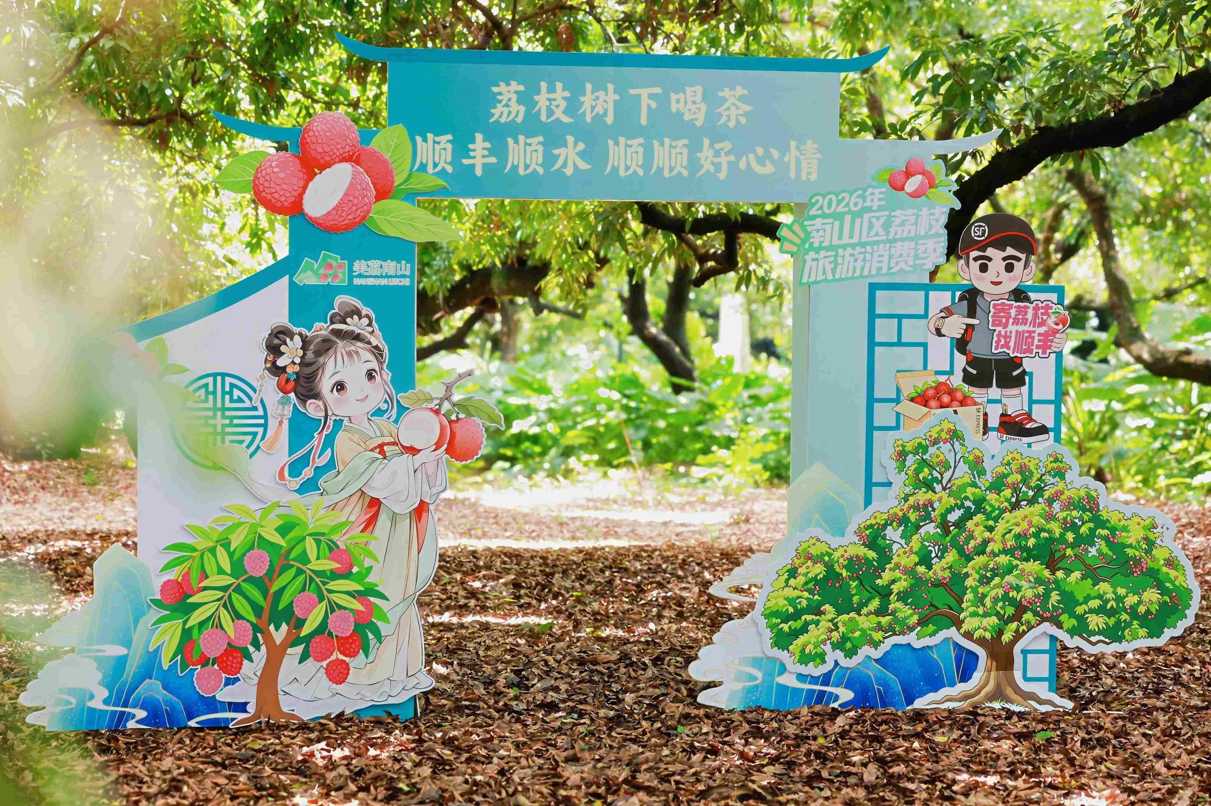 2026深圳南山荔枝「精選之年」百年老樹拍賣會落槌