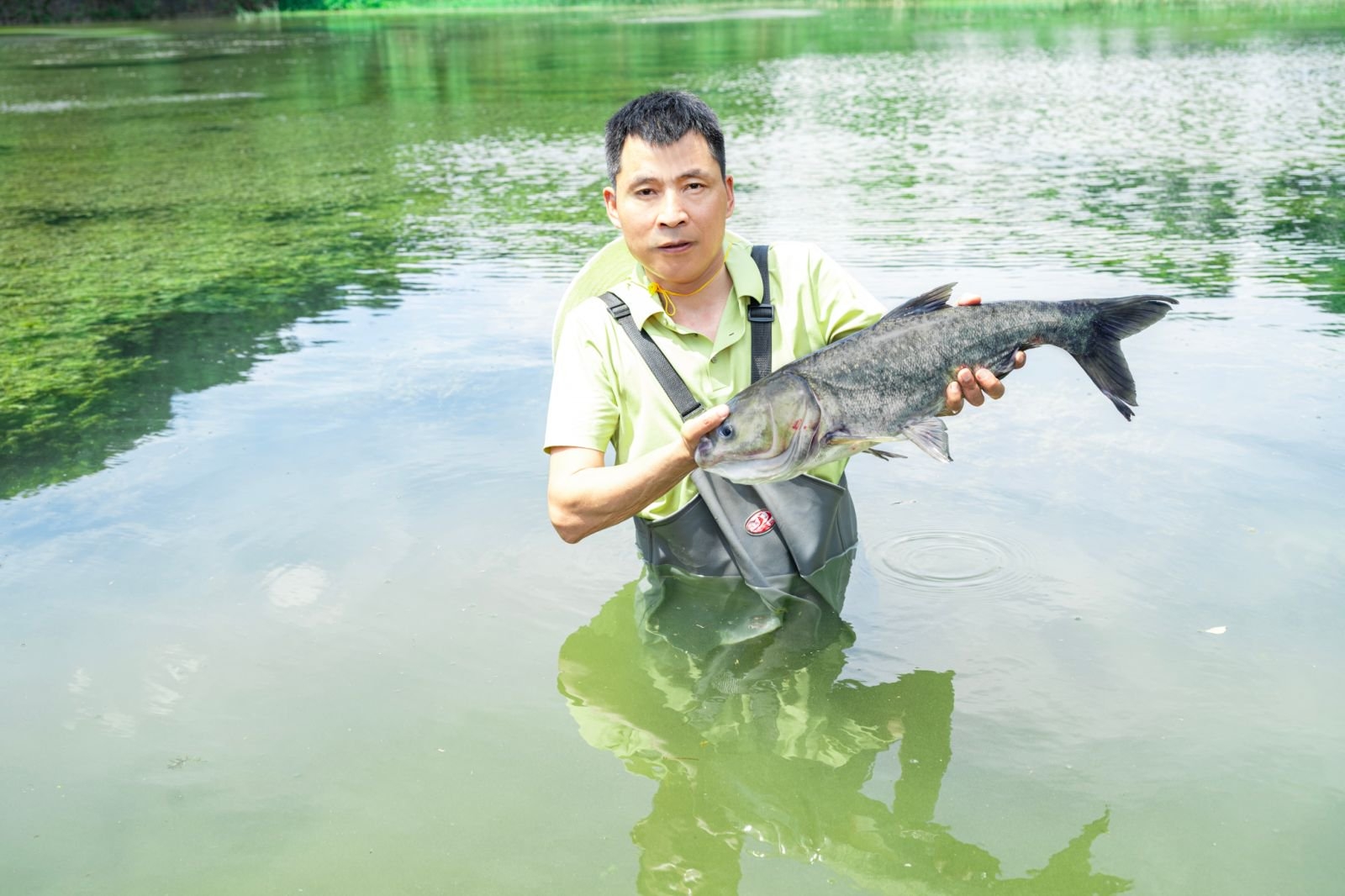 放生季護「生態」 長沙餐飲企業開展年度魚苗放生公益活動