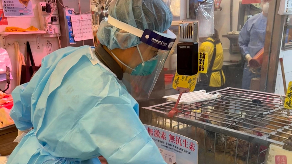 2歲男童感染H9N2甲流 6名家居接觸者及涉事店員無病徵
