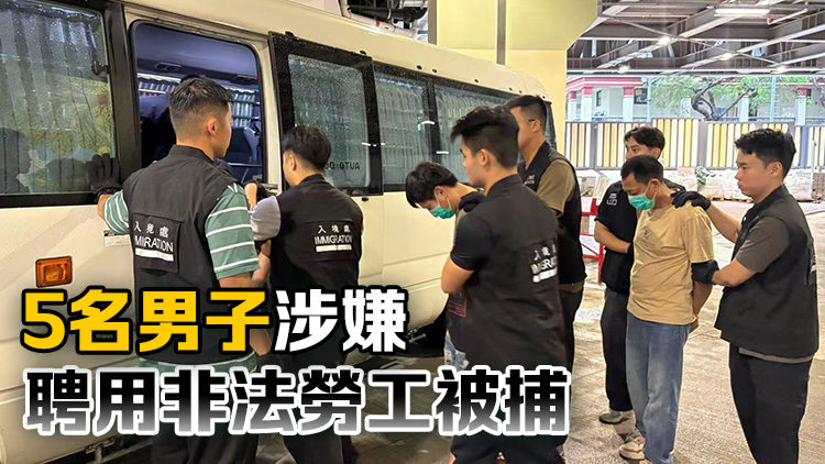 入境處拘捕15名黑工 從事泥水清潔清拆及油漆等工作