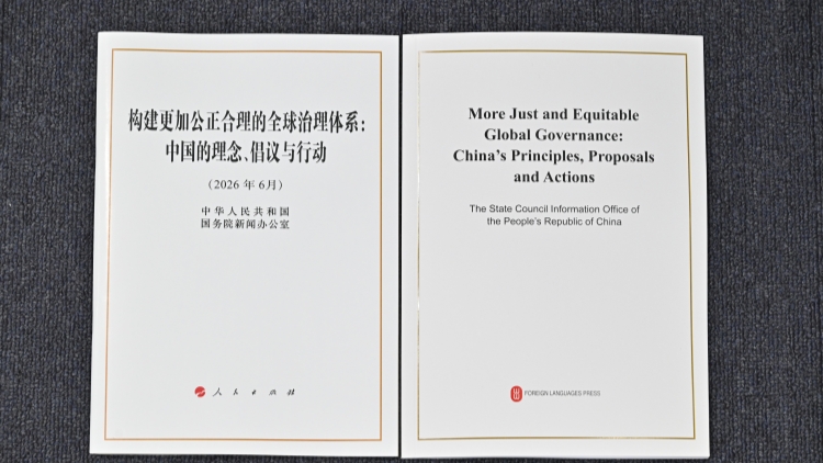 中國政府發布關於全球治理的白皮書