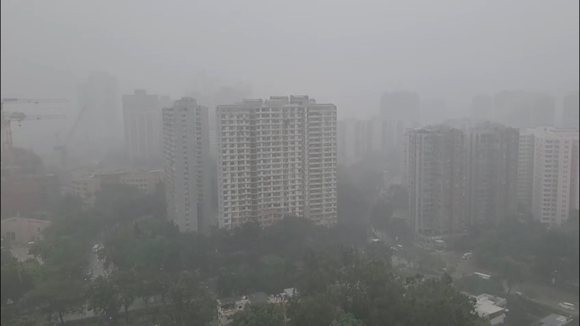 有片〡本年第2次黑雨 新界北部多處水浸