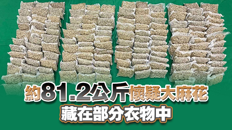 海關機場檢獲1450萬元大麻花拘1人
